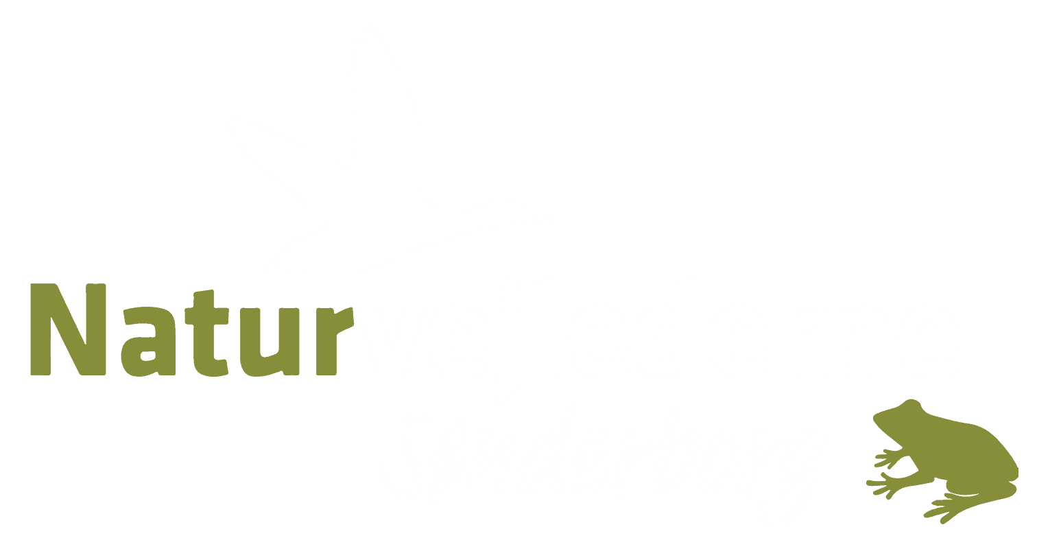 Naturoplevelser i Sønderborg-området