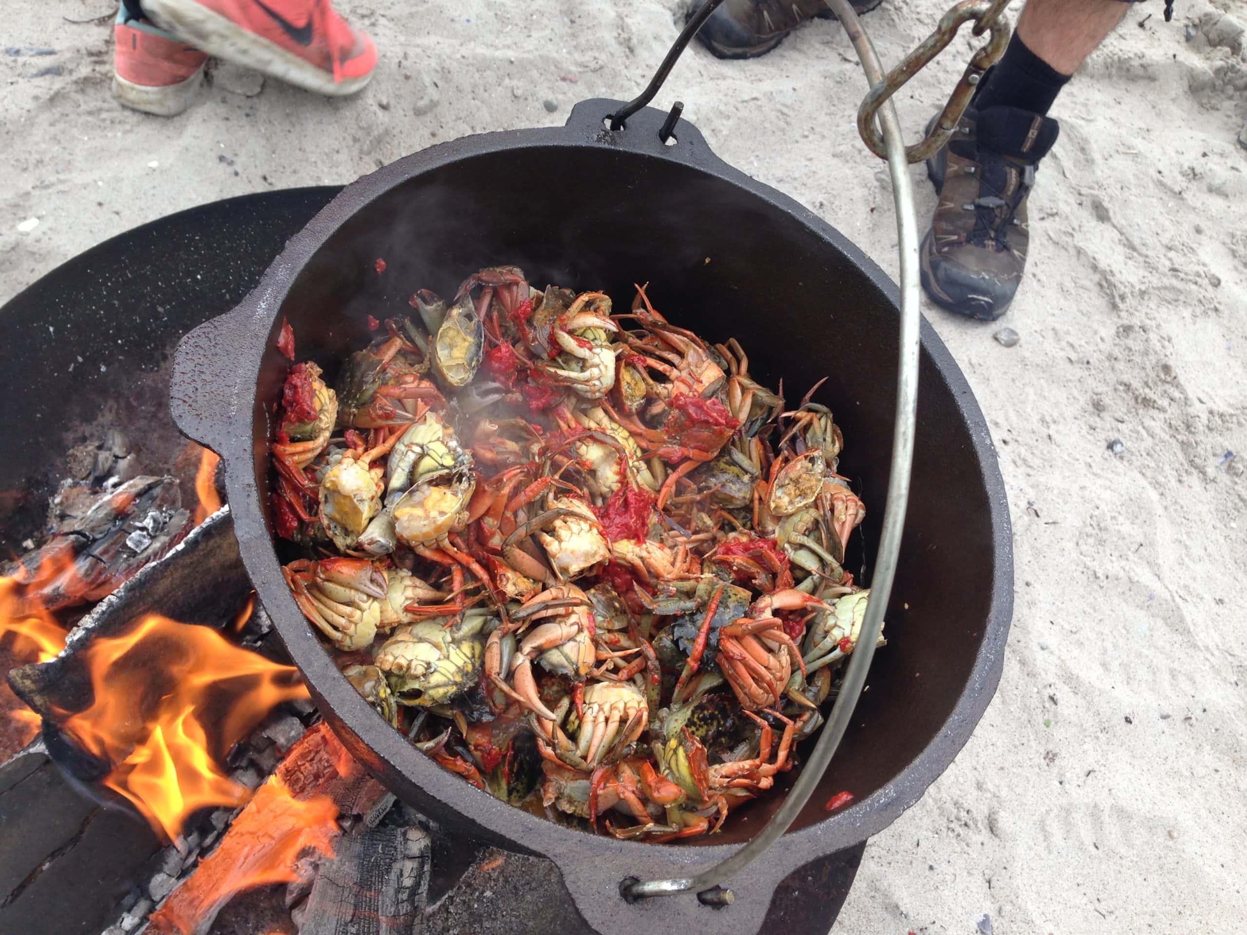 Sonderborg Vild mad aktivitet Crab og skaldyr grillet over åben ild i naturen.