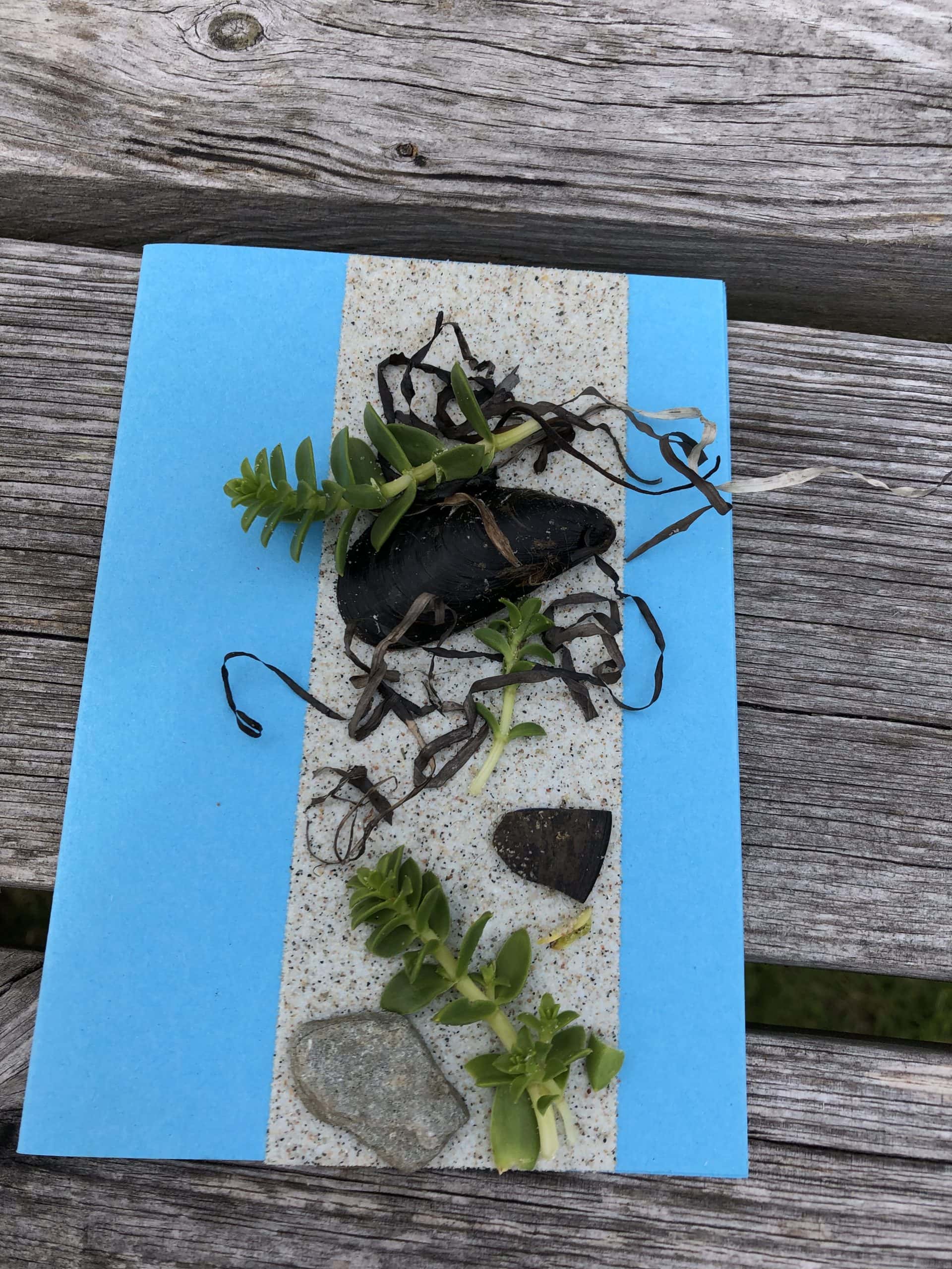 Kreativ strandkunst med planter og sten ved Mommark Strand.