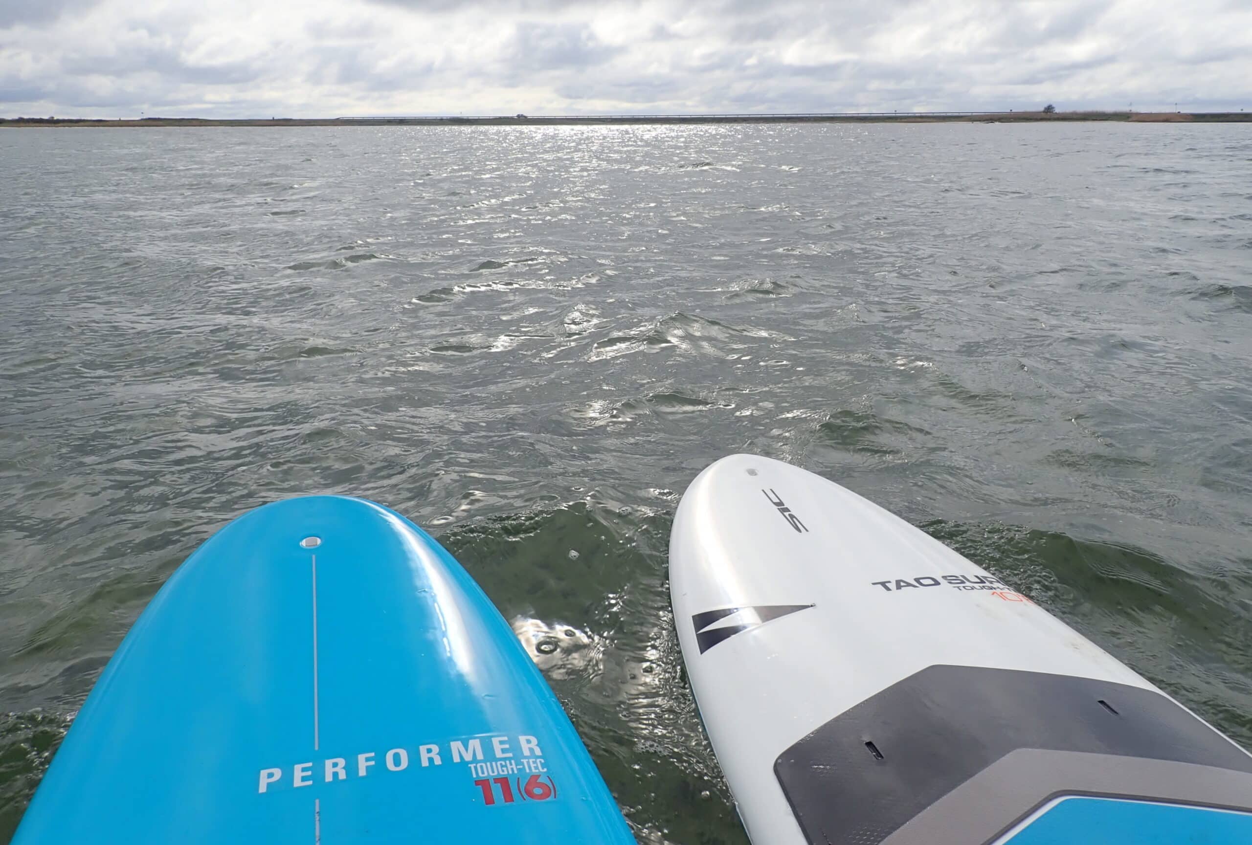 SUP – Blå Flag aktivitet ved vandet SUP-bræt på vandet under Blå Flag aktivitet i Sonderborg.