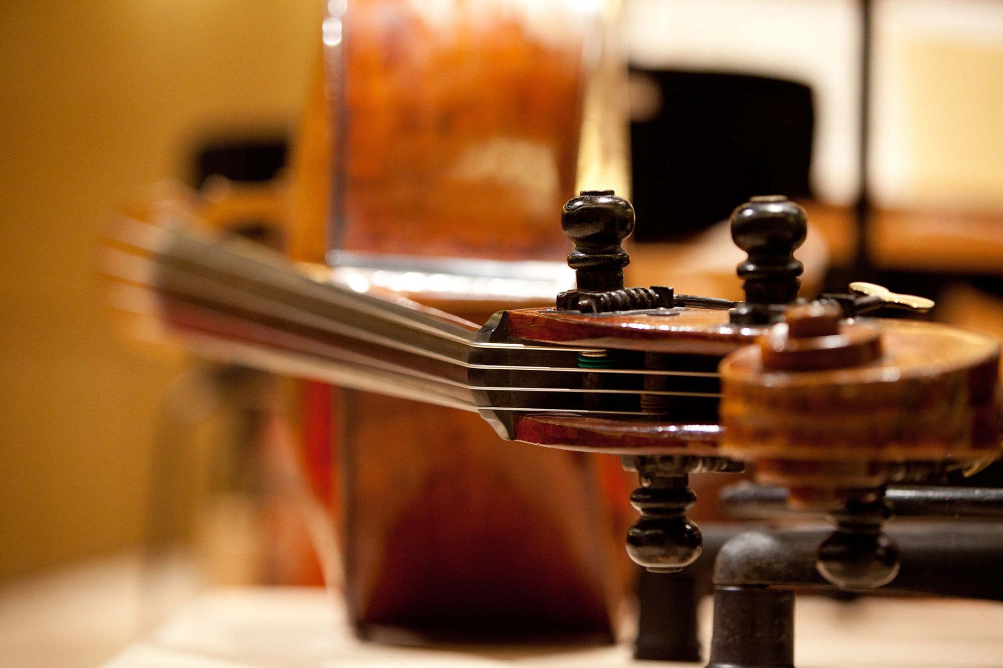 Nærbillede af en violin, klar til koncert i Sonderborg.