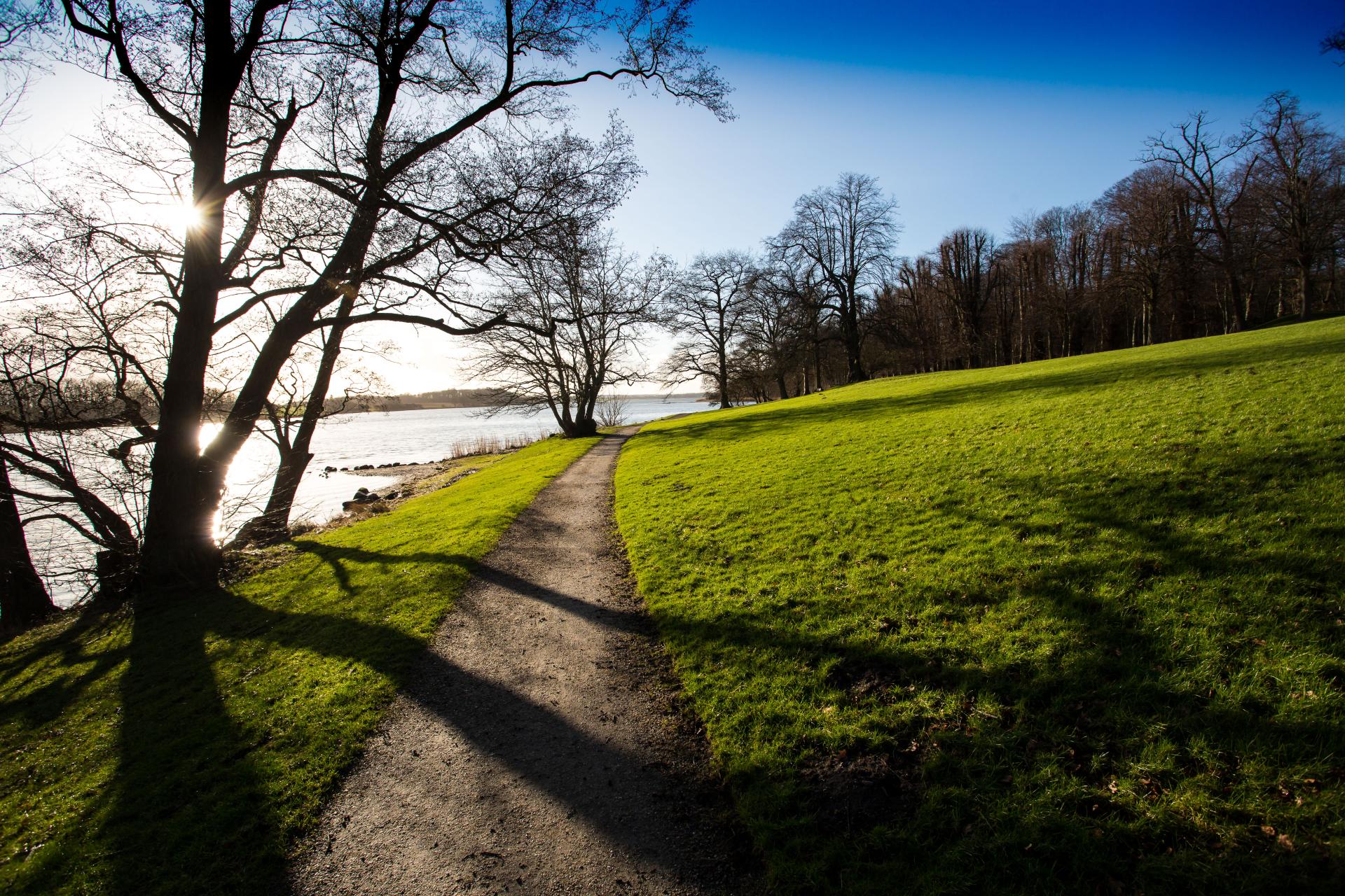 Augustenborg_slot_sti_skov_0031-