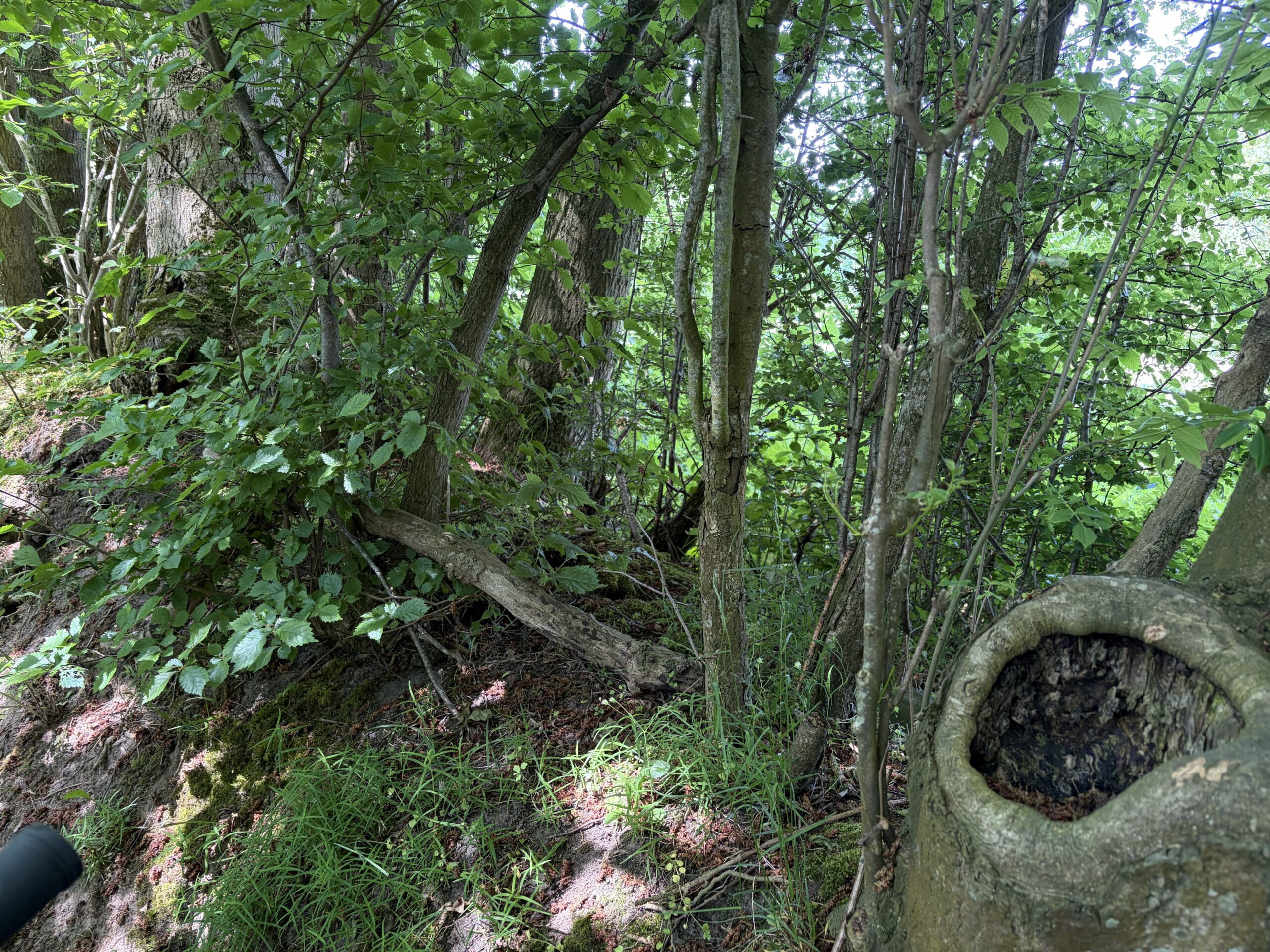 Naturpark Nordals