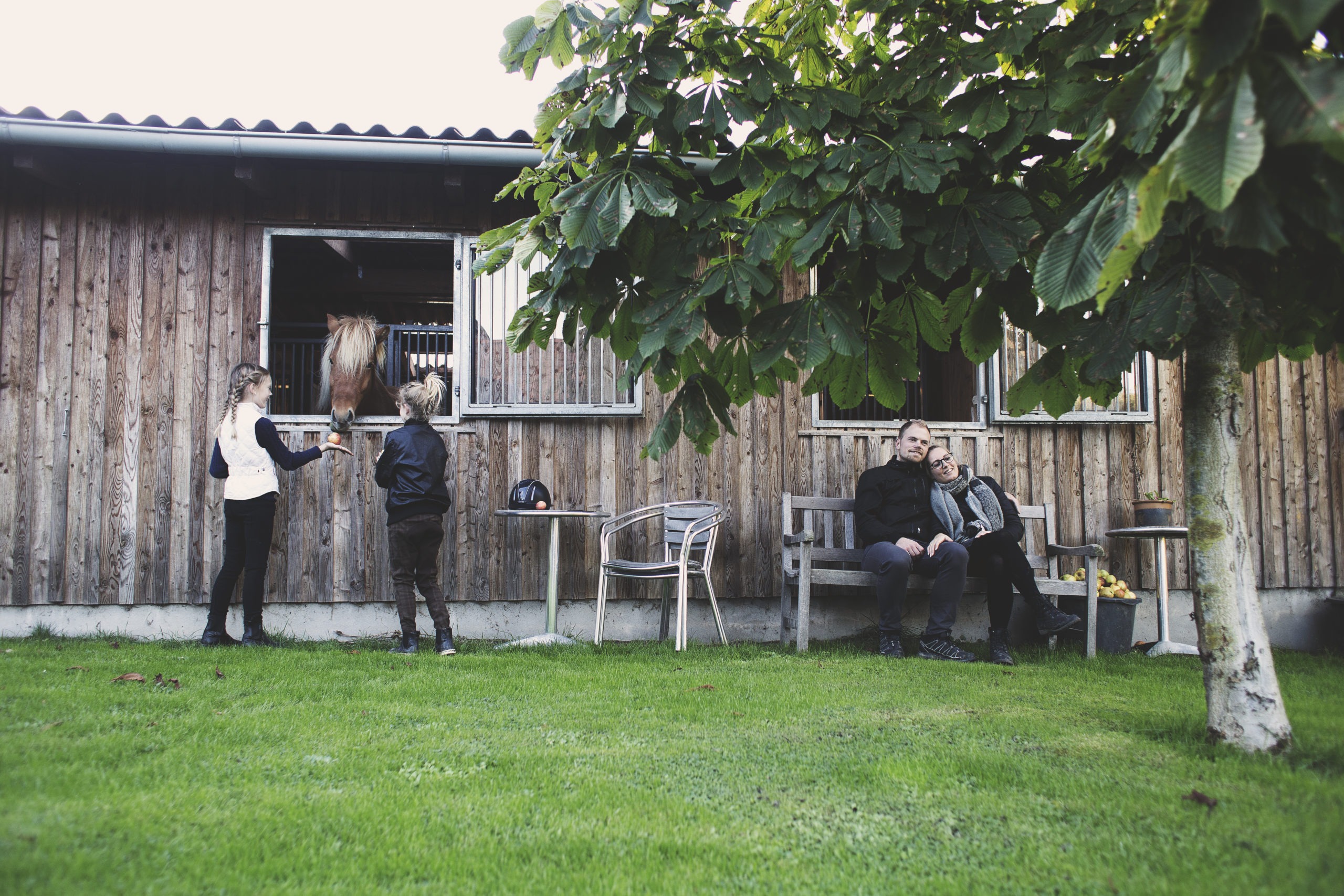 family_horse-scaled Hertugernes Augustenborg